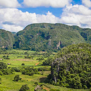 Pic of VINALES