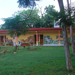 Photo of EL BOSQUE Hotel